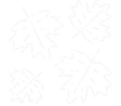 Spring & Fall Cleanup Icon