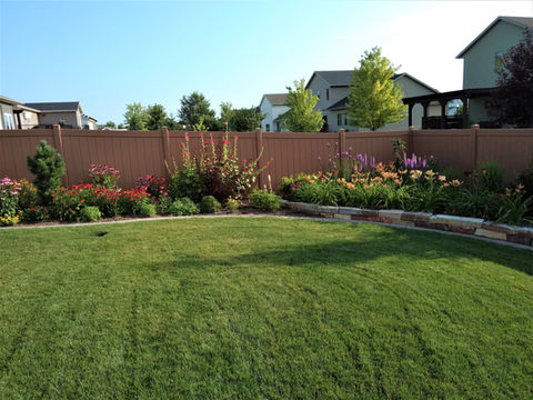 Backyard Landscape