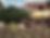 commercial landscaping atlanta