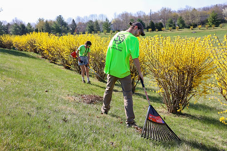 Landscaping Crew Raking Leaves & Weed Whacking