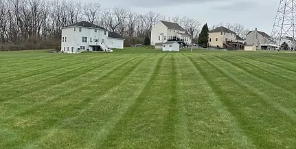 An Example of Our Easton Lawn Mowing & Grass Cutting Services