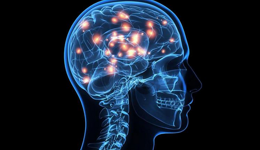 neuroscience for MS
