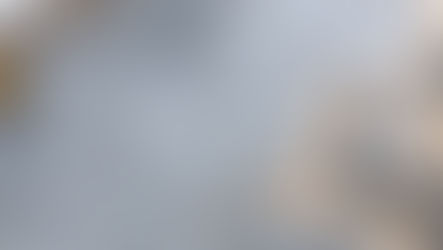 Let Gerhart's Transform Your Outdoors with Hardscaping