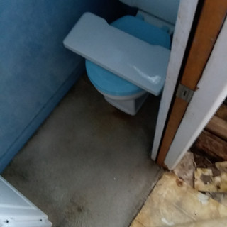 Resized_20180109_082130.jpeg