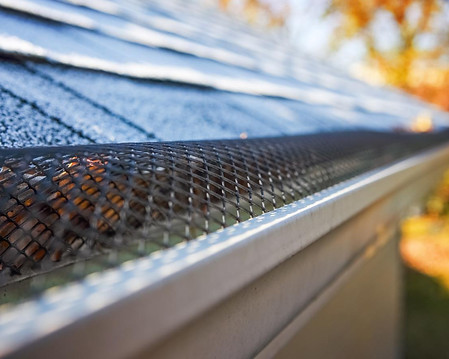 gutter guards.jpg