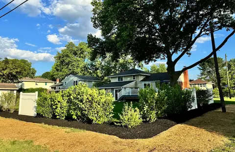 Trimmed Bushes & Pruned Shrubberies