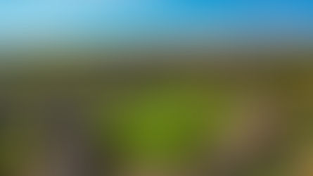 Why Preventive Maintenance Saves You Money in the Long Run