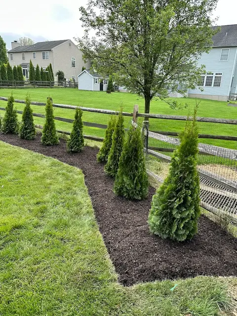 An Example of Our Crisp, Clean Edging