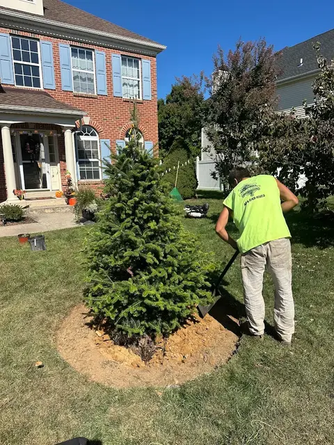 Our Landscaping Contractor Edging Around a Tree Bed