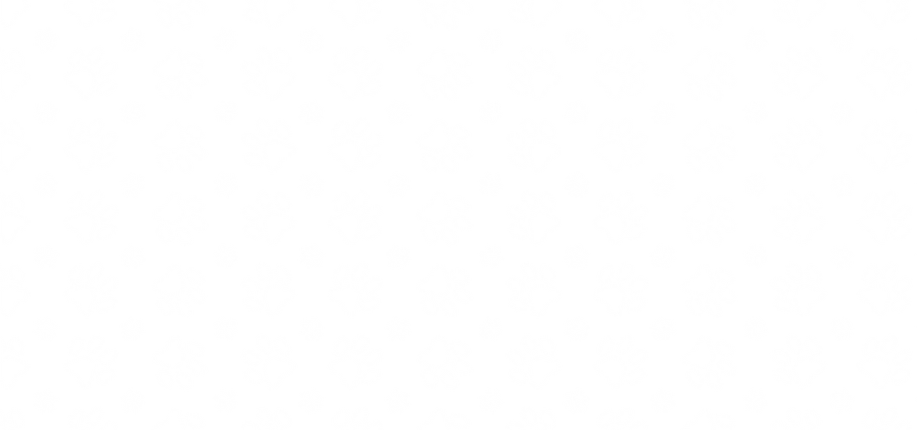 paw print bg.png