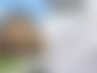 Understanding Commercial Insurance for Small Business Owners