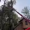 Our Jim Thorpe Tree Care Company Trimming Branches
