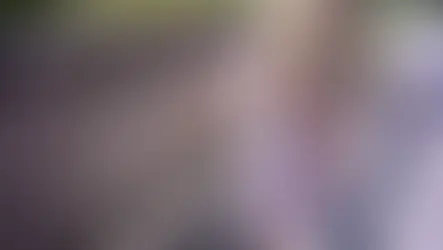 How Environmentally-Friendly Fences Are Making a Difference