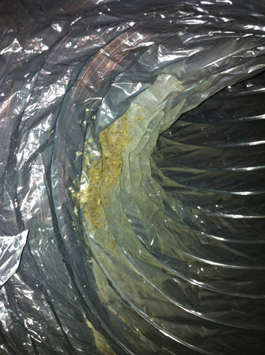 mold air ducts removal