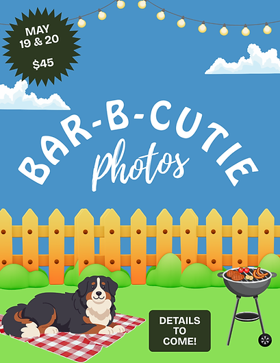 BarBCutie Photos (1).png