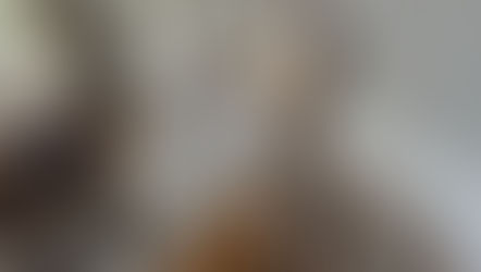 Flooring Choices for Every Room: Understanding Functionality and Style