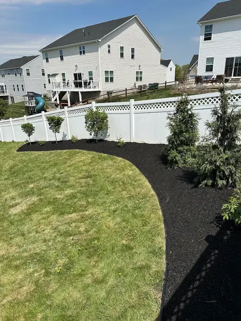 Decorative Greenery