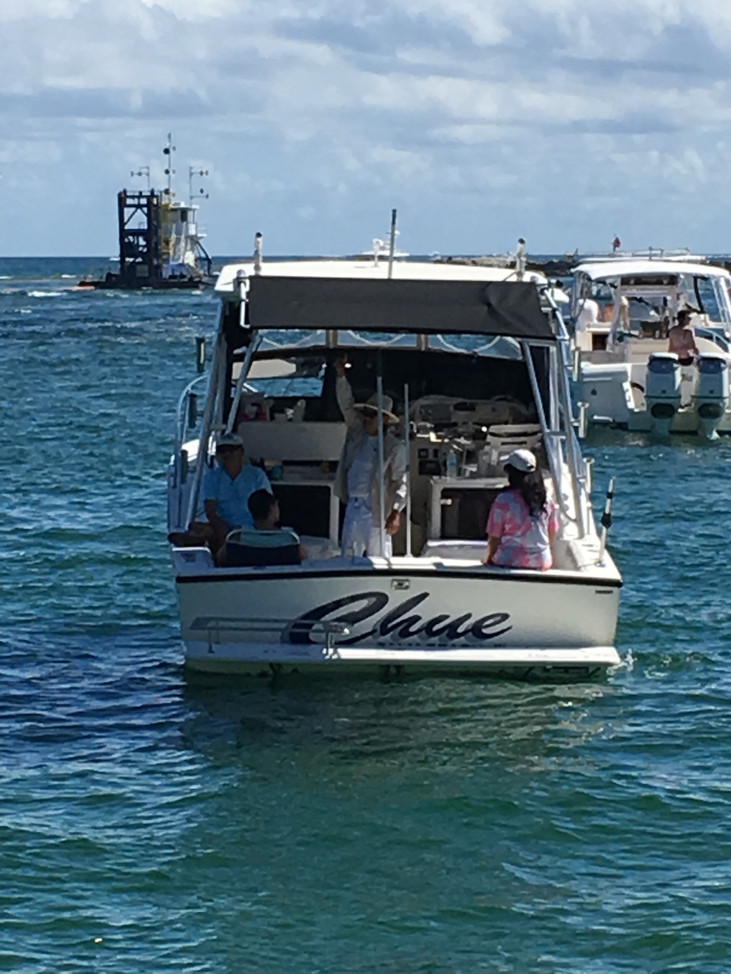 Carolina Classic 2610 Sun Canopy