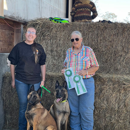 Our Affordable Dog Trainer & Her Show Dogs Winning Ribbons