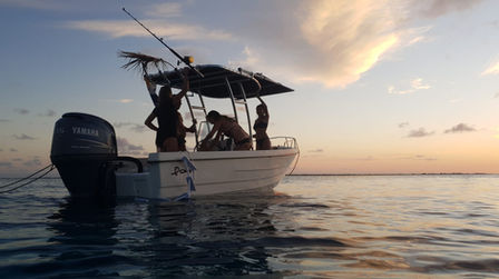 Argus Retractable Boat Sun Shade