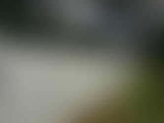 Can You Install a Fence in March in Lehigh Valley?