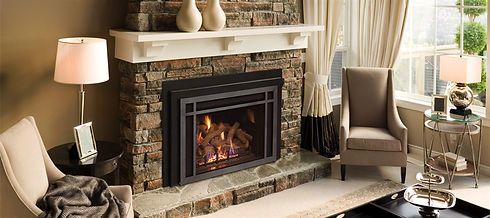 Fireplace Insert