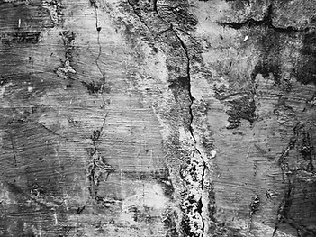 Cement Texture
