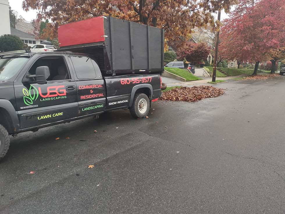Leaves Being Removed from a Residential Property