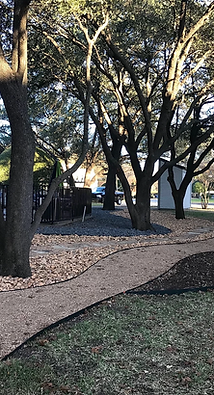 A DFW Xeriscape Project