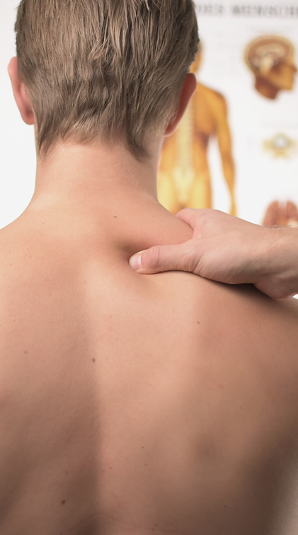 A Massage Therapist Meeting With a Client