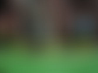 Hardscape vs. Softscape: Finding the Right Balance in Your Atlanta Landscape