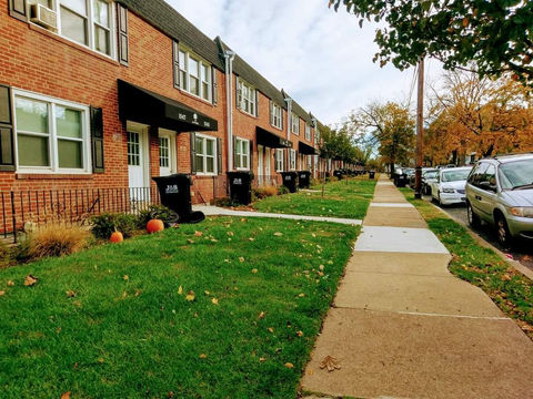 Residential Street on Garbage Day