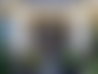 Transform Your Home With a Front Door Replacement