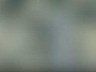 Gasket and Seal Inspection