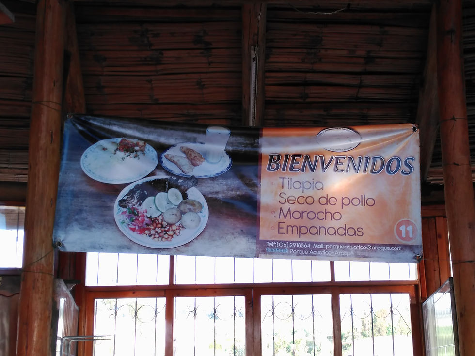 menu11