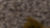 9ebaf12b-89c8-4724-89c2-518284dd02dd.png