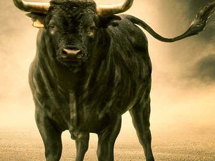 Garnet River’s relationship with 7bulls led to another key strategic partnership, with Voicesense, an Israeli-founded firm that works closely with 7bulls.