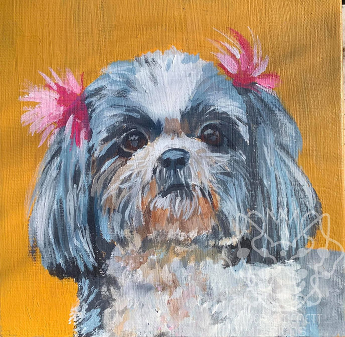 3A_Mery McNett Pet Portrait Artwork Tulsa Oklahoma.jpg