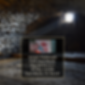 How to Write Joe Exotic the Tiger King