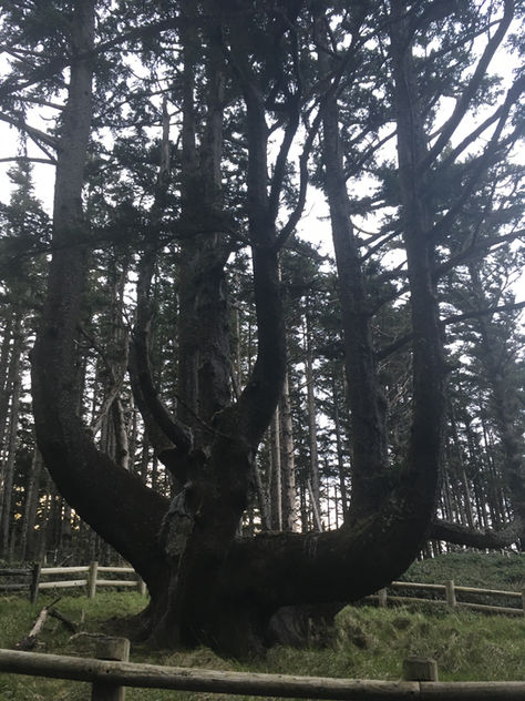 Apparently it does take a head injury to figure this out