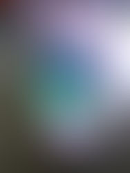 Are you, ready? Book-Signing Auction, of a lifetime. Read details thoroughly.