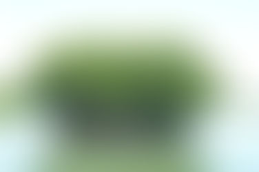 Ex for the Federal Government of the United States of America