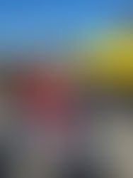 From 3 December through 8 December 2020: Texas to Georgia and back to Texas