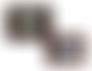 Medal of Honor Art Project By: Susan MeeLing : Post #1 of 3 Posts