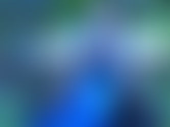 "Mad Mad" movie, the "151 Road Warriors" with "Cactus Jack", and Fiest