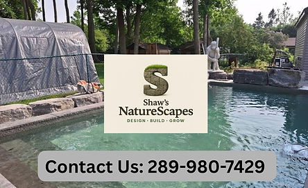 Contact Us Picture.jpg