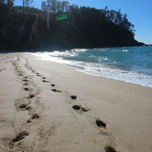 The Weight of Fulfillment