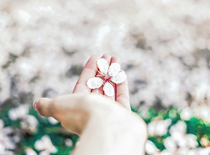 an open hand holding a flower
