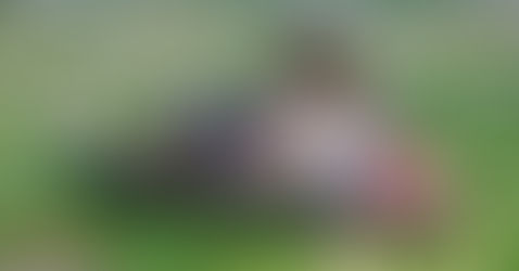 Dog Gut Health: How to Improve it in 5 Simple Steps