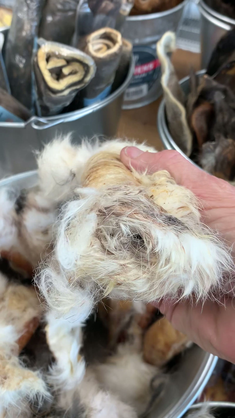 Thumbnail: Rabbit Hide Roll - 6-7"